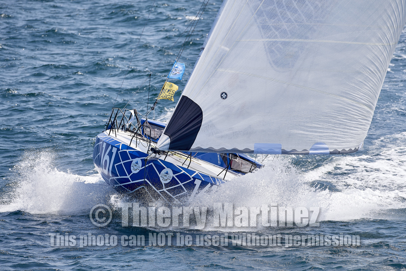 22_27395_DRHEAM CUP